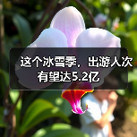 这个冰雪季,出游人次有望达5.2亿(图4) 这个冰雪季,出游人次有望达5.2亿(图4)