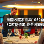 岛国收藏家拍卖1052盒FC游戏卡带 距全收藏仅差一盒（图4）