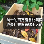 瑞士的百万富翁比美国还多！来看看瑞士人的暴富秘诀（图2）