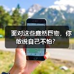 面对这些庞然巨物，你敢说自己不怕？（图3）