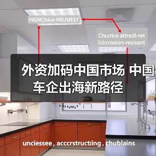 外资加码中国市场 中国车企出海新路径（图4）