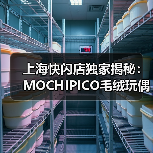 上海快闪店独家揭秘：MOCHIPICO毛绒玩偶与非遗展品齐亮相（图4）