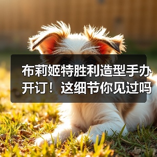 布莉姬特胜利造型手办开订!这细节你见过吗?(图4) 布莉姬特胜利造型手办开订!这细节你见过吗?(图4)