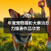 年度宠物摄影大赛治愈力爆表作品欣赏(图4) 年度宠物摄影大赛治愈力爆表作品欣赏(图4)