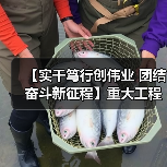 【实干笃行创伟业 团结奋斗新征程】重大工程扎实推进 夯实经济发展根基(图4) 【实干笃行创伟业 团结奋斗新征程】重大工程扎实推进 夯实经济发展根基(图4)