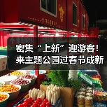 密集“上新”迎游客！来主题公园过春节成新年俗（图4）