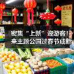 密集“上新”迎游客！来主题公园过春节成新年俗（图2）