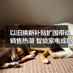 以旧换新补贴扩围带动销售热潮 智能家电成新增长点（图1）