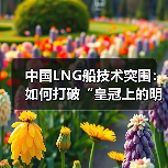 中国LNG船技术突围:如何打破“皇冠上的明珠”垄断?(图4) 中国LNG船技术突围:如何打破“皇冠上的明珠”垄断?(图4)