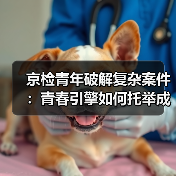 京检青年破解复杂案件:青春引擎如何托举成长?(图2) 京检青年破解复杂案件:青春引擎如何托举成长?(图2)
