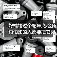 好端端过个蛇年,怎么所有怕蛇的人都要把它踢出十二生肖?（图4）