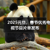 2025元旦、春节优秀电视节目片单发布(图1) 2025元旦、春节优秀电视节目片单发布(图1)