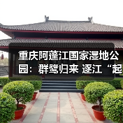 重庆阿蓬江国家湿地公园:群鹭归来 逐江“起舞”(图4) 重庆阿蓬江国家湿地公园:群鹭归来 逐江“起舞”(图4)