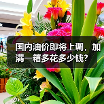 国内油价即将上调，加满一箱多花多少钱？（图3）