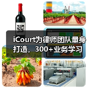 iCourt为律师团队量身打造,300+业务学习与增长实操指引(2024)(图3) iCourt为律师团队量身打造,300+业务学习与增长实操指引(2024)(图3)