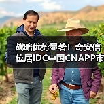 战略优势显著!奇安信位居IDC中国CNAPP市场领导者类别(图1) 战略优势显著!奇安信位居IDC中国CNAPP市场领导者类别(图1)