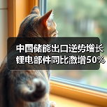 中国储能出口逆势增长 锂电部件同比激增50%（图4）