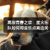 高原青春之歌：星火乐队如何用音乐点亮边关梦想（图2）