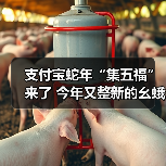 支付宝蛇年“集五福”来了 今年又整新的幺蛾子了?(图4) 支付宝蛇年“集五福”来了 今年又整新的幺蛾子了?(图4)