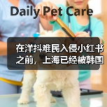 在洋抖难民入侵小红书之前，上海已经被韩国人挤爆了（图4）