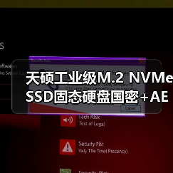 天硕工业级M.2 NVMe SSD固态硬盘国密+AES256全盘加密构建数据安全长城（图3）