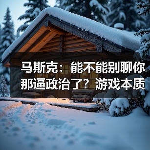 马斯克：能不能别聊你那逼政治了？游戏本质是分享快乐（图4）