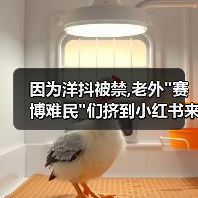 因为洋抖被禁,老外