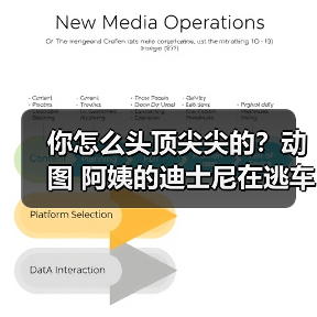 你怎么头顶尖尖的？动图 阿姨的迪士尼在逃车好拉风（图3）