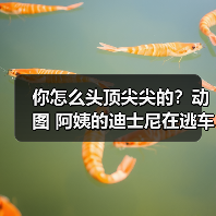 你怎么头顶尖尖的？动图 阿姨的迪士尼在逃车好拉风（图1）