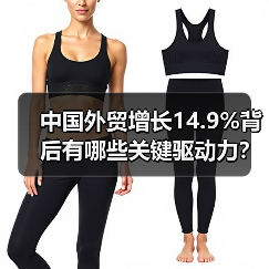 中国外贸增长14.9%背后有哪些关键驱动力？（图1）