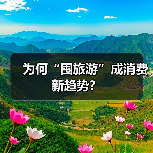 为何“囤旅游”成消费新趋势？（图3）