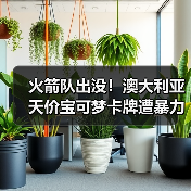 火箭队出没!澳大利亚天价宝可梦卡牌遭暴力抢劫!(图4) 火箭队出没!澳大利亚天价宝可梦卡牌遭暴力抢劫!(图4)