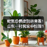 密集恐惧症别进来看！山东一村民家中惊现1
