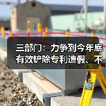 三部门：力争到今年底 有效铲除专利造假、不正当交易黑灰产业链（图3）
