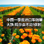 中国一季度进口车销量大跌:玛莎卖不动!保时捷几乎腰斩（图2）