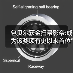 包贝尔获金扫帚影帝:成为该奖项有史以来首位