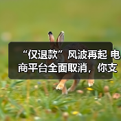 “仅退款”风波再起 电商平台全面取消,你支持吗?(图3) “仅退款”风波再起 电商平台全面取消,你支持吗?(图3)