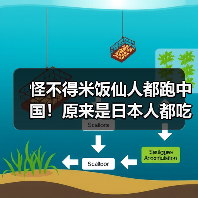 怪不得米饭仙人都跑中国!原来是日本人都吃不起大米!(图4) 怪不得米饭仙人都跑中国!原来是日本人都吃不起大米!(图4)