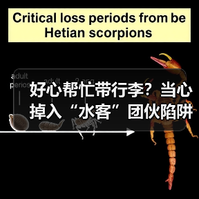 好心帮忙带行李？当心掉入“水客”团伙陷阱（图4）