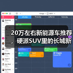 20万左右新能源车推荐，硬派SUV里的长城新势力（图4）