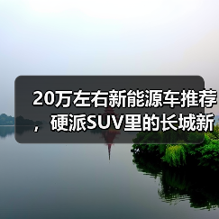 20万左右新能源车推荐，硬派SUV里的长城新势力（图3）