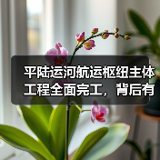 平陆运河航运枢纽主体工程全面完工，背后有何深意？（图4）