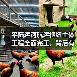 平陆运河航运枢纽主体工程全面完工，背后有何深意？（图3）