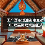 国产赛车燃油迎来变革 103号高标号汽油正式启用（图4）