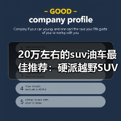 20万左右的suv油车最佳推荐：硬派越野SUV全面对比（图4）