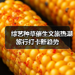 综艺种草催生文旅热潮 旅行打卡新趋势(图3) 综艺种草催生文旅热潮 旅行打卡新趋势(图3)