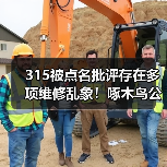 315被点名批评存在多项维修乱象！啄木鸟公示整改方案（图1）