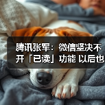 腾讯张军:微信坚决不开「已读」功能 以后也不会有!(图2) 腾讯张军:微信坚决不开「已读」功能 以后也不会有!(图2)