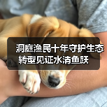 洞庭渔民十年守护生态转型见证水清鱼跃（图2）
