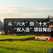 从“六大”到“十大”,“双入选”项目背后的文化密码(图2) 从“六大”到“十大”,“双入选”项目背后的文化密码(图2)